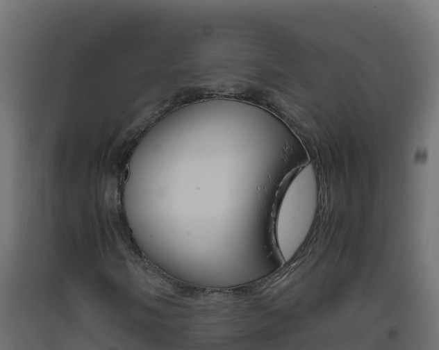 X0000093511058200710121058