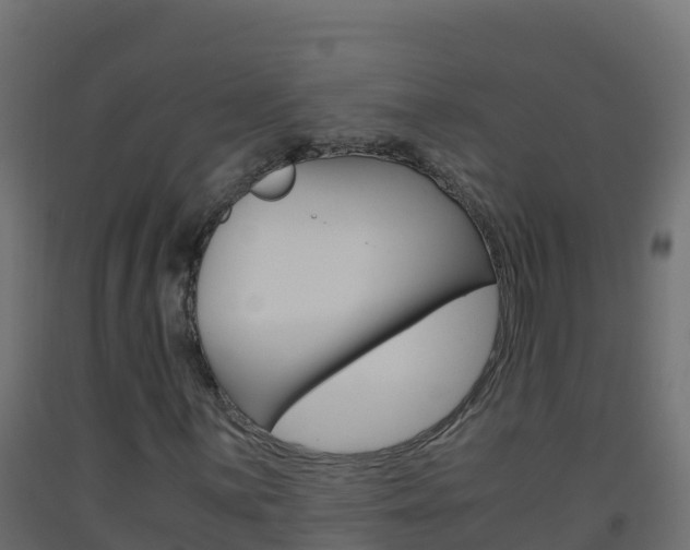 X0000093511059200710121058