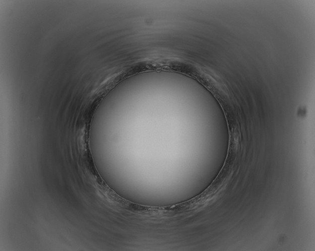 X0000093511060200710121058