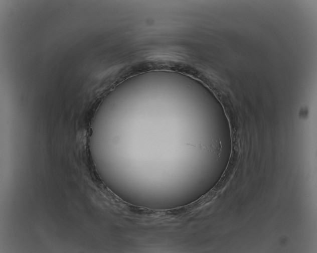 X0000093511061200710121058