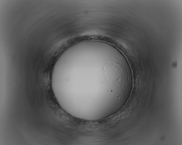 X0000093511062200710121058