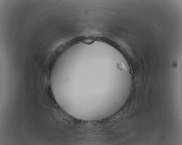 X0000093511063200710121058