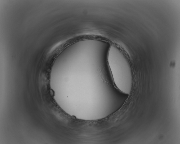 X0000093511064200710121058