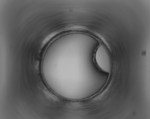 X0000093511066200710121058