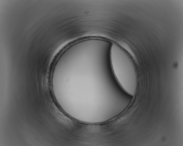 X0000093511068200710121058