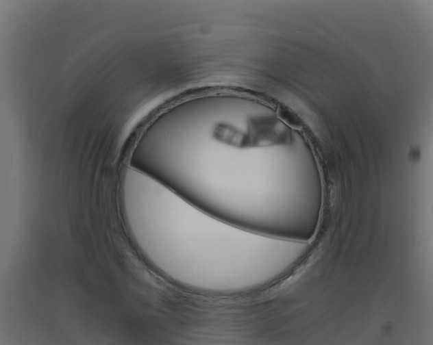 X0000093511069200710121058