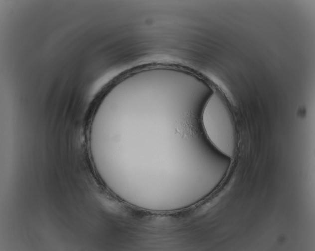 X0000093511070200710121058