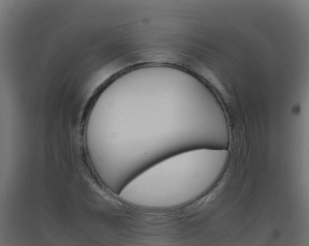 X0000093511071200710121058