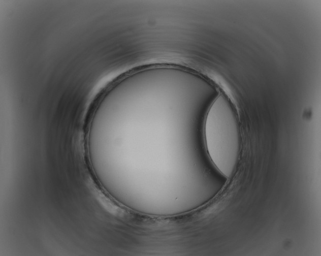 X0000093511072200710121058