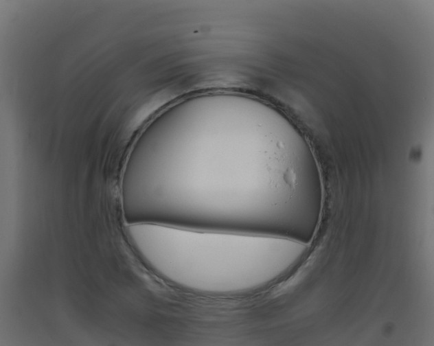 X0000093511073200710121058