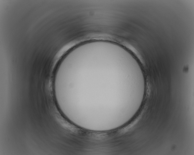 X0000093511074200710121058