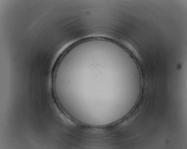 X0000093511076200710121058