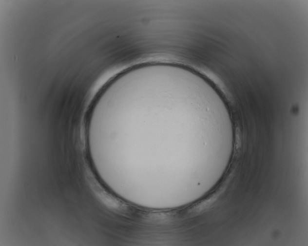 X0000093511078200710121058