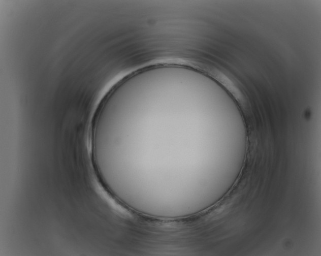 X0000093511084200710121058