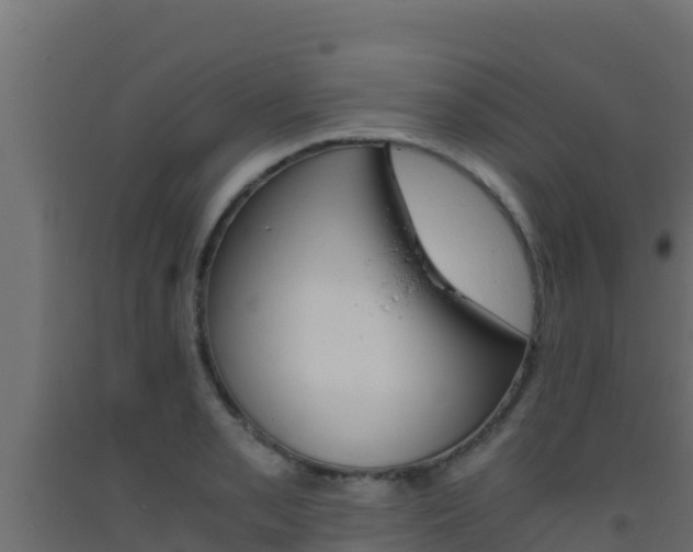 X0000093511085200710121058