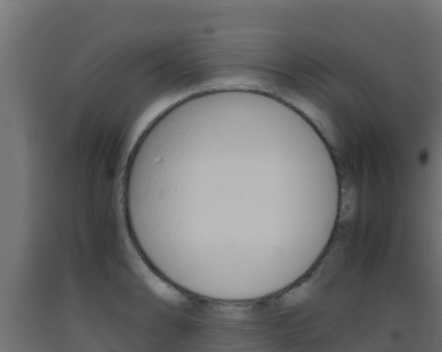 X0000093511086200710121058