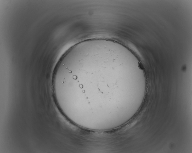 X0000093511087200710121058
