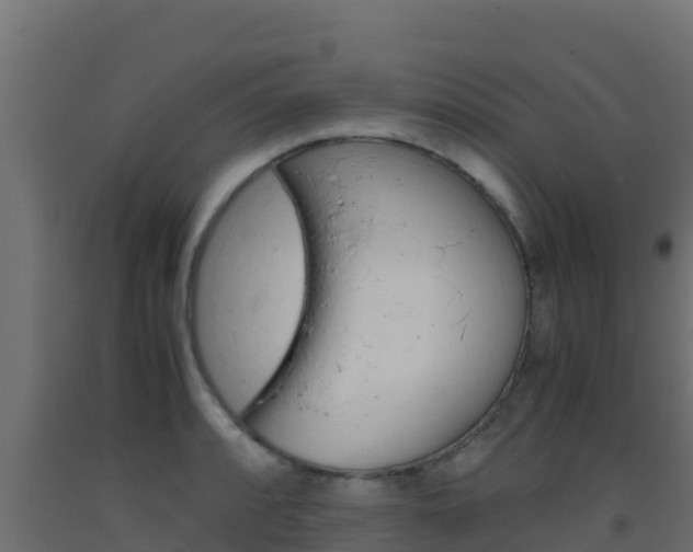 X0000093511088200710121058