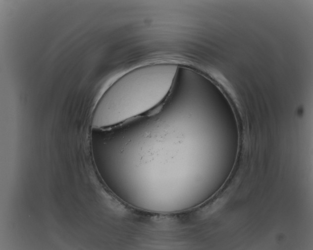 X0000093511089200710121058