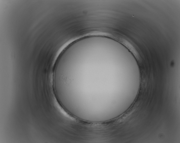 X0000093511092200710121058