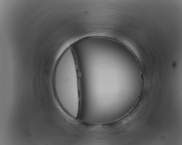 X0000093511093200710121058