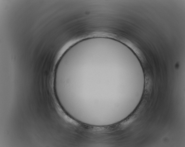 X0000093511094200710121058