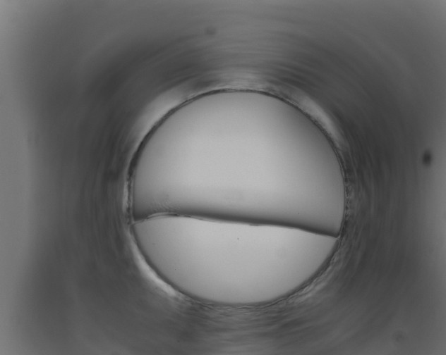 X0000093511095200710121058