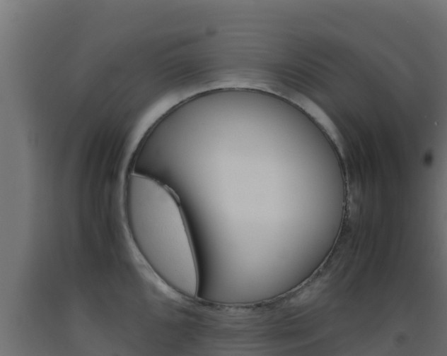 X0000093511096200710121058