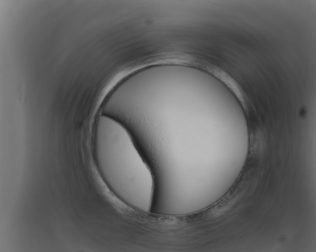 X0000093511099200710121058