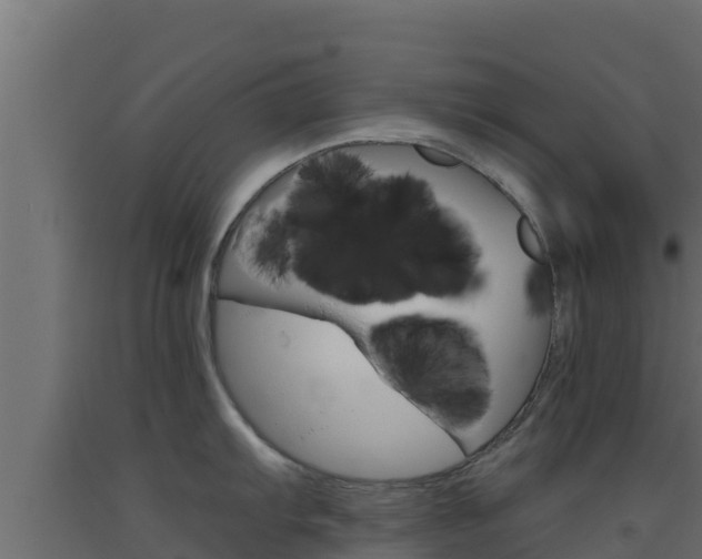 X0000093511103200710121058
