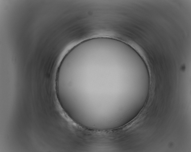 X0000093511104200710121058
