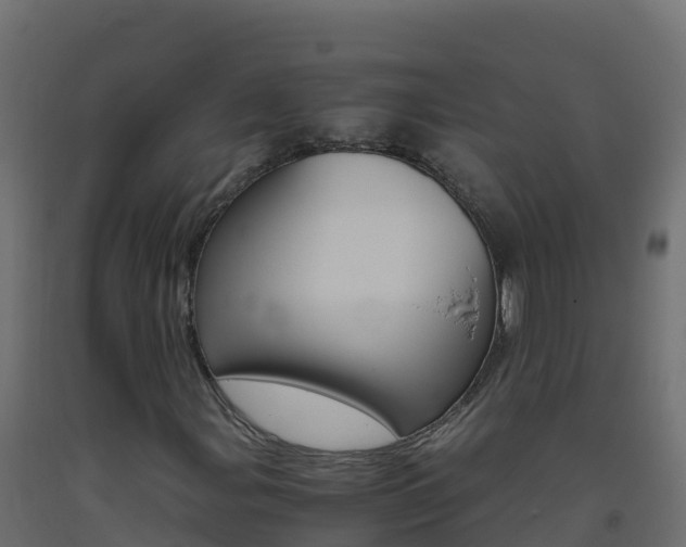X0000093511107200710121057
