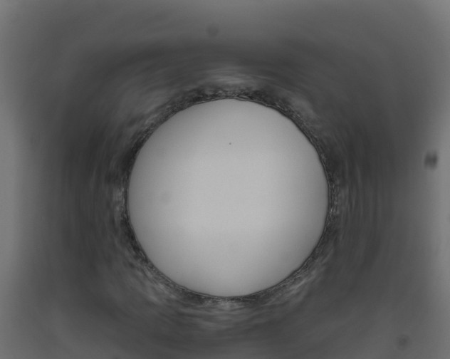X0000093511109200710121057