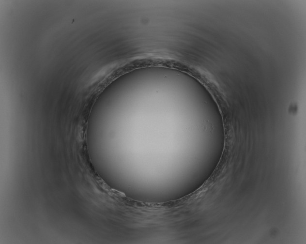X0000093511110200710121057