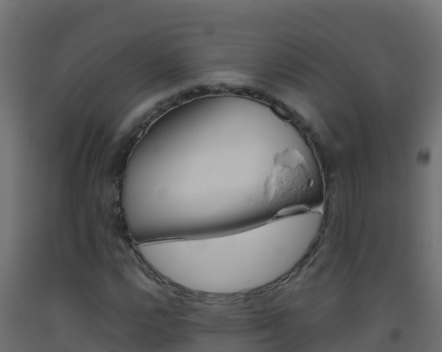 X0000093511112200710121057