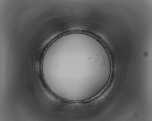 X0000093511113200710121057