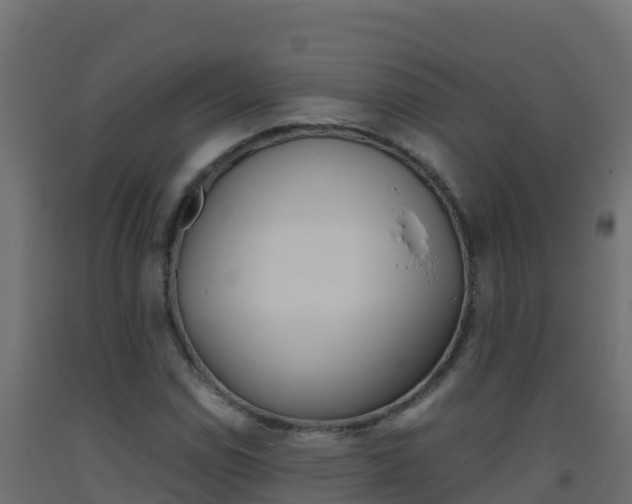X0000093511114200710121057