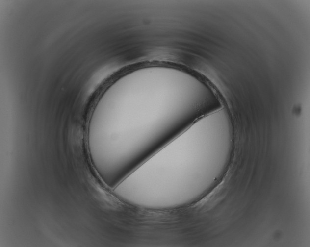 X0000093511115200710121057