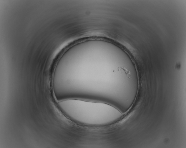 X0000093511118200710121057