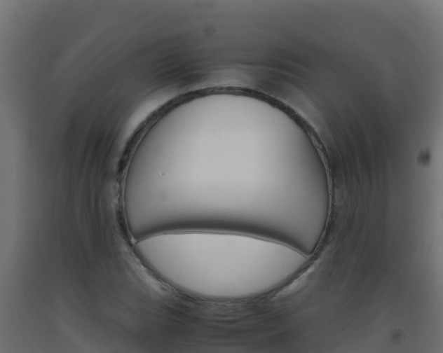 X0000093511119200710121057