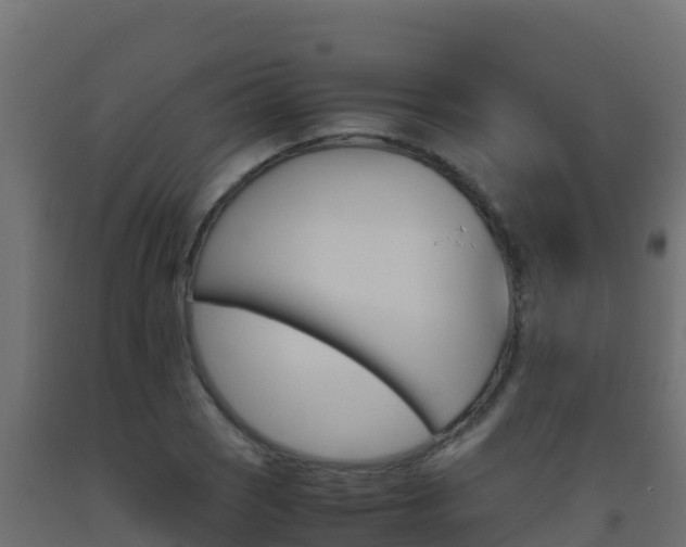 X0000093511121200710121057