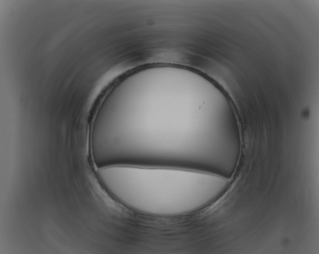 X0000093511123200710121057