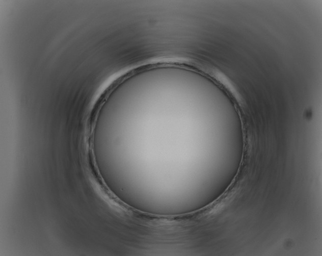 X0000093511124200710121057