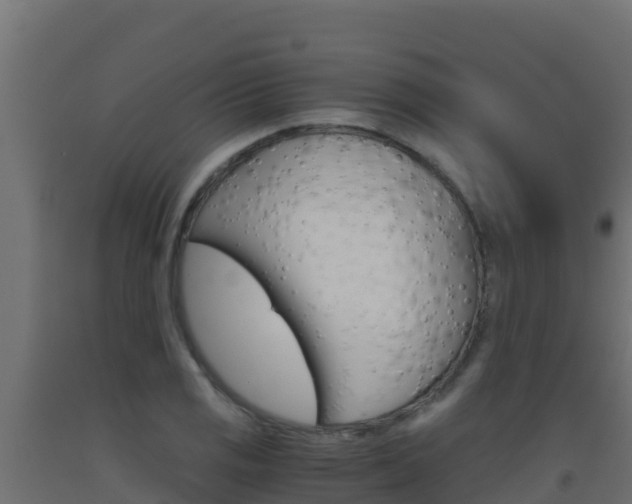 X0000093511125200710121057