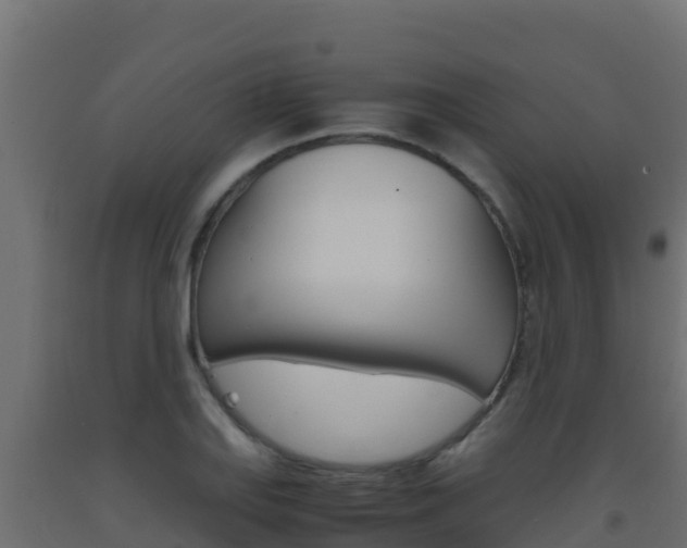 X0000093511127200710121057