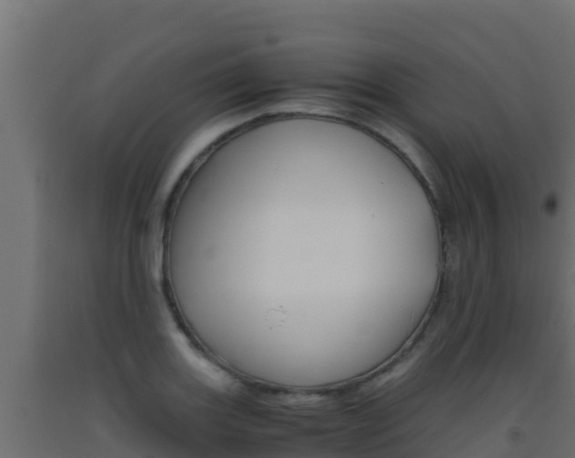 X0000093511131200710121058