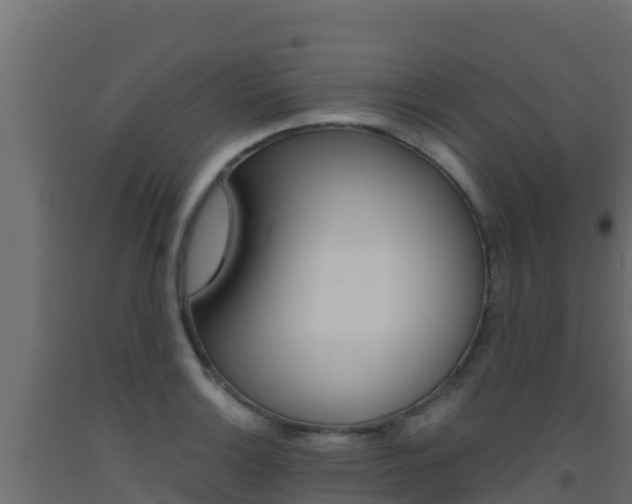 X0000093511132200710121058