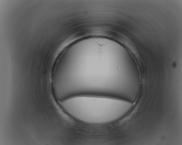 X0000093511133200710121058