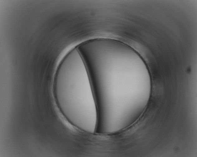 X0000093511136200710121058