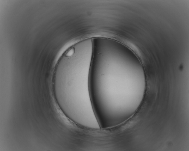 X0000093511138200710121058